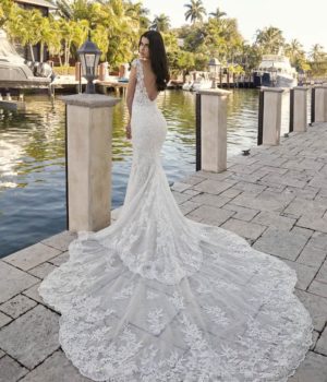 1036-5226.jpg