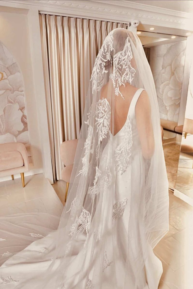VL388 (ESME VEIL)