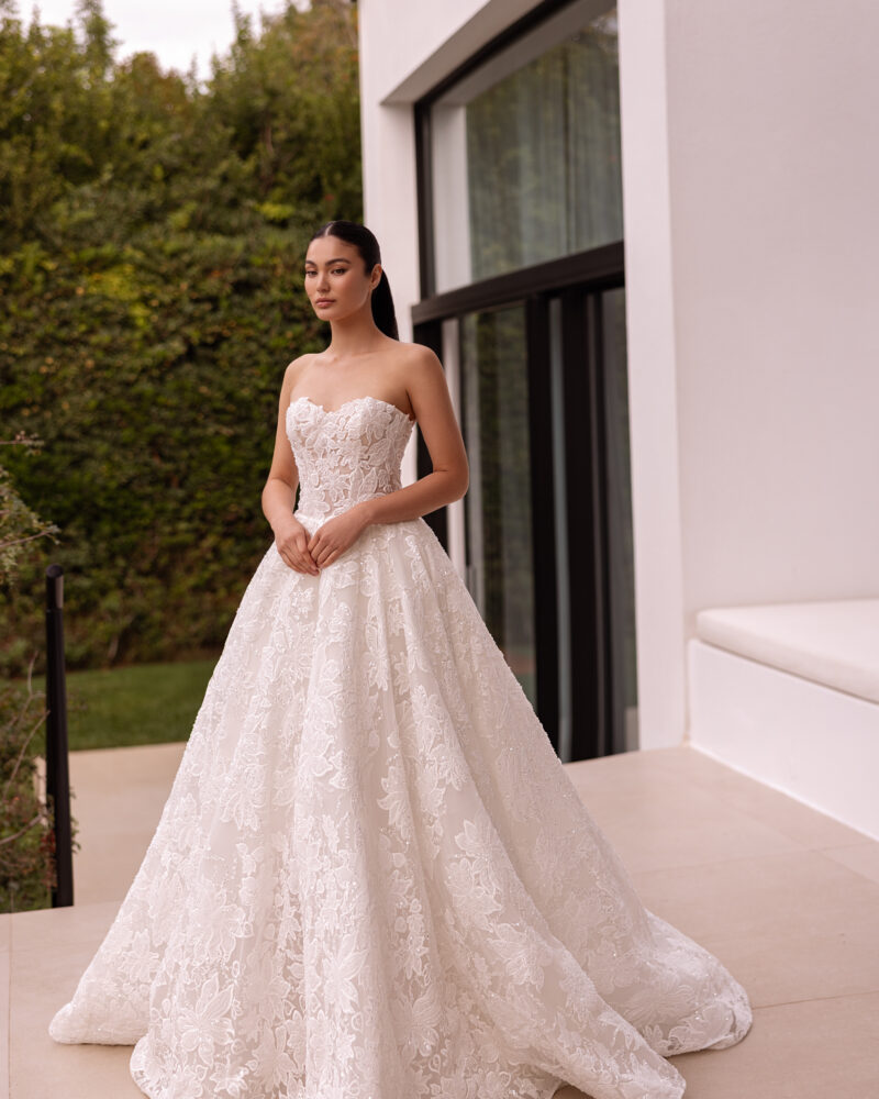 ISMARA | DP564