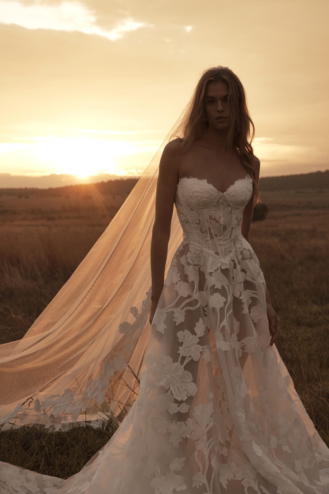 Vianne Front